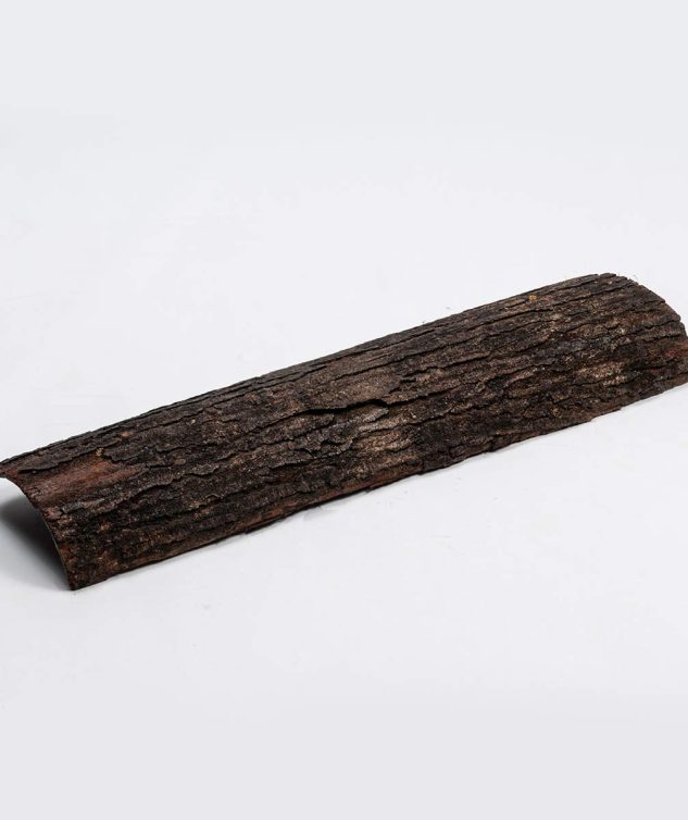 Casca-de-Arvore-cod-159176-2.jpg