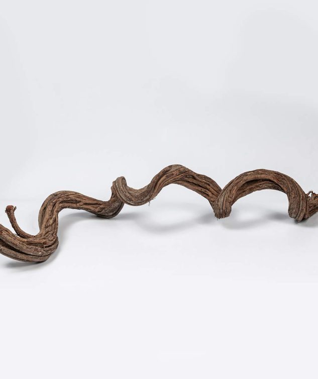 Cipo-Torcido-cod-009218-2.jpg