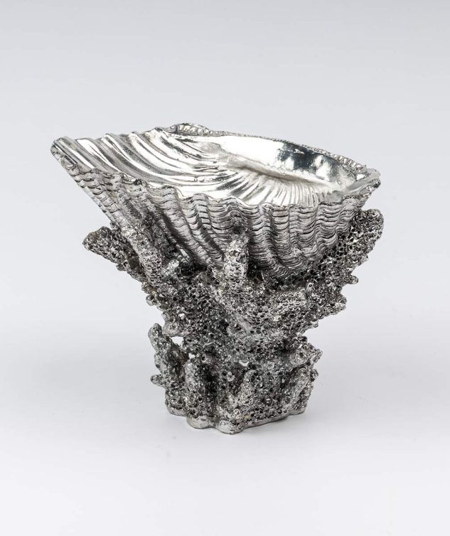 Coral C Concha Shell Prateada - cod 004105