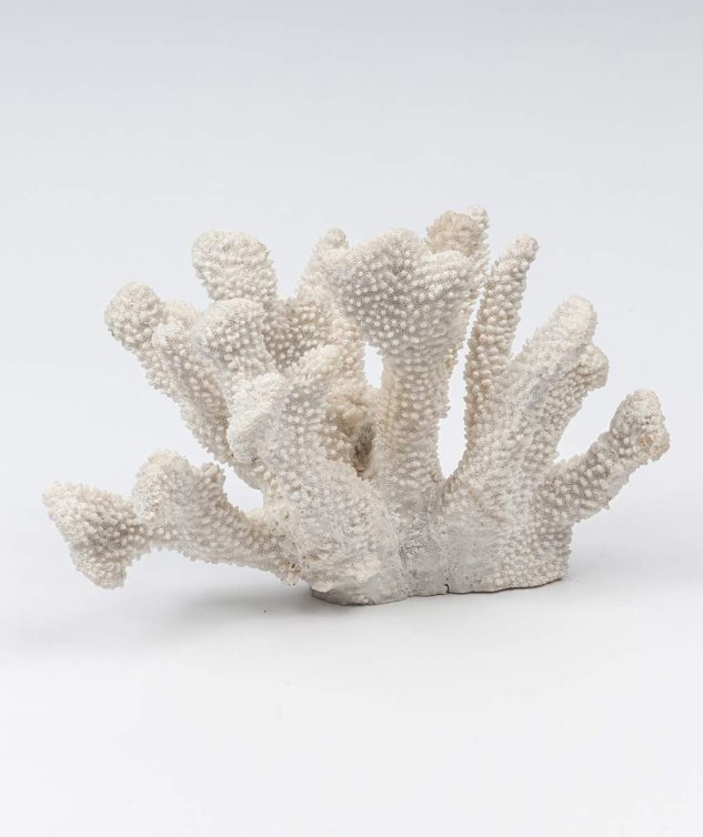 Coral Lixa M -cod 004090